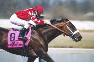 Horse_Racing_winning-system