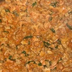 Carne de Albanil close up