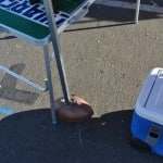 EZ Fan Feet swap meet