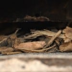 Stump Chunks underneath