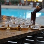 Mini Beer Pong Close-up