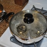 Steemee Wonder water boiling