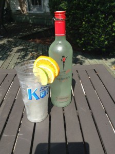 Margarita in IceSoCool Cup