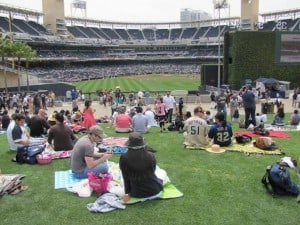 Petco Park grass seats