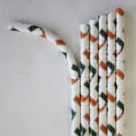 Miami Hurricanes Eco-Flex drinking straws